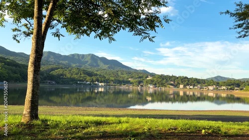 湖を望む山中湖周辺の新緑と大自然が美しい初夏の観光風景