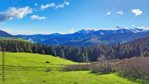 Kümbet Plateau in Dereli, Giresun, is a scenic Black Sea highland known for its lush green meadows, dense spruce forests, and snow-capped mountains that create a striking contrast during spring and su