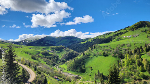 Kümbet Plateau in Giresun features dense Oriental spruce forests covering steep slopes, blending with misty highland meadows to create a mystical Black Sea mountain landscape.