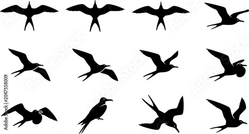 Great frigate silhouette icon set, flat black glyph style, pure white background