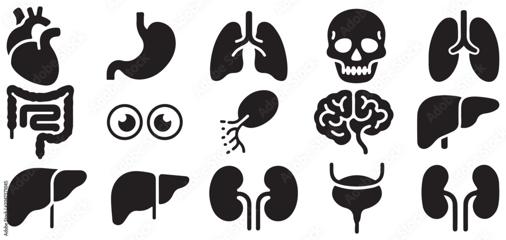 Obraz premium Human skull eye and internal organ silhouette set. vector illustration eps 10