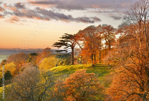 A beautiful rural landscape at sunset with vibrant autumn colours on the trees in the heart of the English countryside. 
