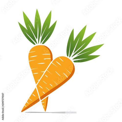 Two stylized carrots with green leaves on white background