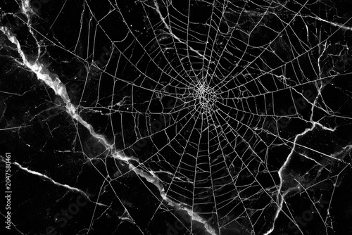 A delicate web of intricate threads spun across dark, veined stone