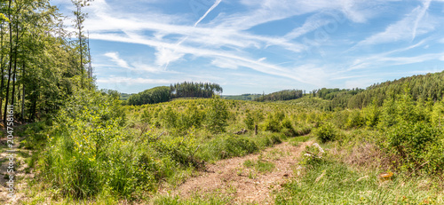 Wanderweg durch ein Waldstück