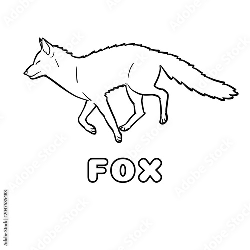 vector image of a fox