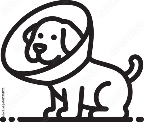 Photos Black and white dog wearing elizabethan collar