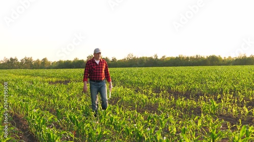 Man agricultural worker agronomist control maize seedling at sunny corn field. Male farmer with digital tablet examining organic food plant cultivation farmland production harvest row plantation
