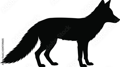 Quadro su tela Black fox silhouette side view standing profile isolated on white background for