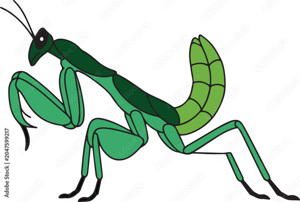 Fototapeta premium Green mantis stalking vector illustration on white background