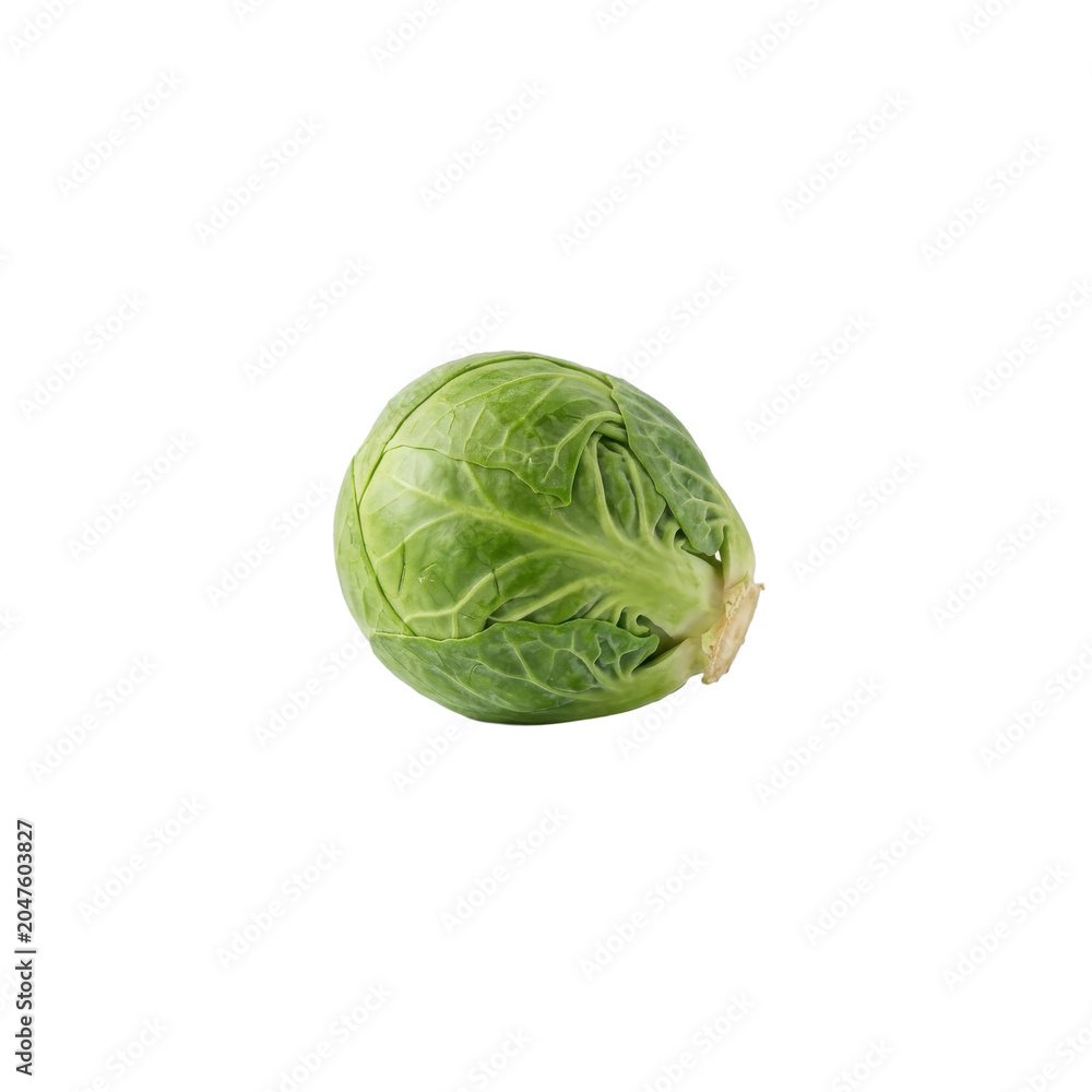 Fototapeta premium Single Brussels sprout, green, leafy vegetable