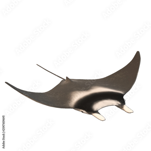 Foto Elegant manta ray swimming gracefully with wide pectoral fins spread like wings