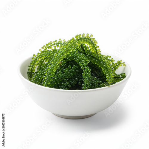 Umi Budo Sea Grapes Isolated on White Background Square Composition Studio Shot