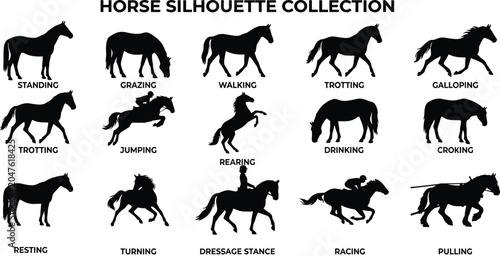 Tableau sur toile Horse Silhouette Collection Featuring Standing Grazing Running Jumping Racing an