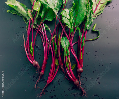 Young beetroot greens with red stems and small roots arranged on a dark wet surface. Fresh garden vegetable leaves for healthy cooking, salad, vegan food, organic harvest and plant-based diet.