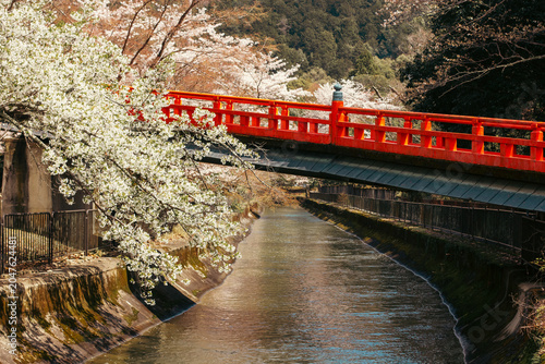 Konstfotografi The traditional red bridge leading to Honkoku-ji temple over the historical Lake Biwa Canal, framed by blooming sakura in spring