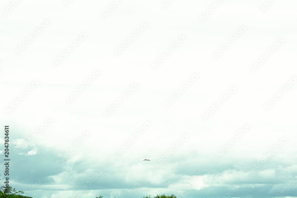 Obraz premium sky and clouds