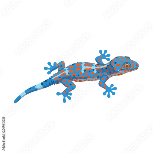 Vibrant tokay gecko with blue and orange spots