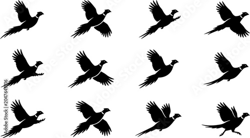 Flying pheasant silhouette icon set, flat black glyph style, pure white background
