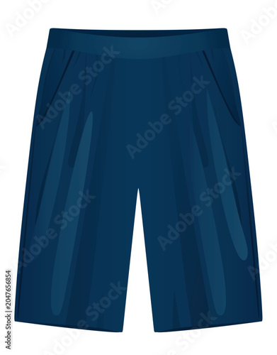 Blue male shorts. vector illustration