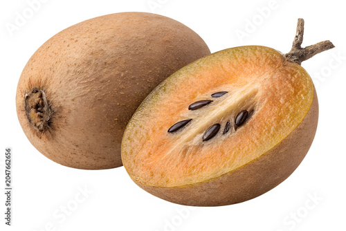 Whole Raw Sapodilla Fruit Front View Isolated on White Background – High-Resolution Hyper-Realistic Chikoo Sapota Tropical Fruit for Culinary, Healthy Diet, and Cooking Graphic Design