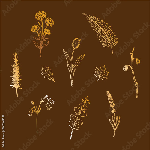 Hand Drawn Botanical Floral Sketch Collection Minimal Line Art Vector Set