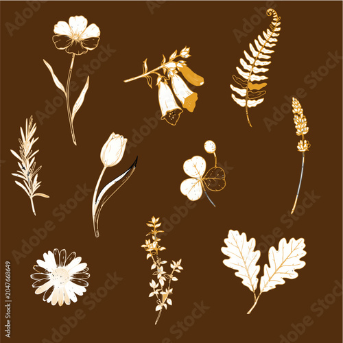 Hand Drawn Botanical Floral Sketch Collection Minimal Line Art Vector Set