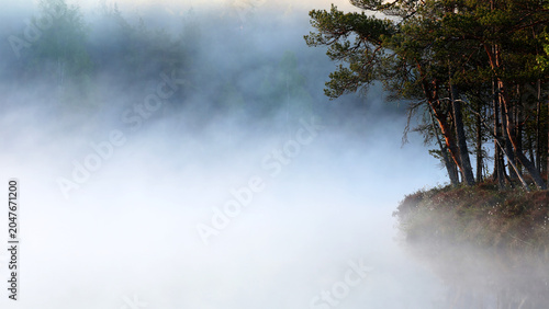 Mist at the small pond at marsh in Finland. 