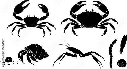 Quadro su tela Ocean Crustacean Silhouette Set – Crab, Hermit Crab, Shrimp, Snail, Sea Creature