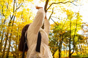 Woman photographer photographing bird in autumn forest. Young lady standing under yellow trees with camera. Outdoor nature wildlife photography. Creative hobby and leisure activity concept.