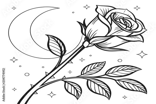 Fotografija coloring page line art the midnight rose flower black vector