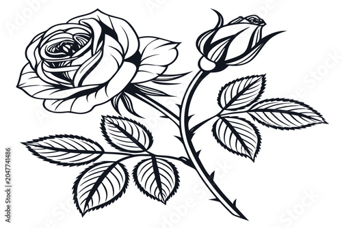Obraz na plátne coloring page line art the midnight rose flower black vector