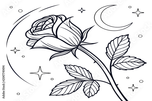 Fotografie coloring page line art the midnight rose flower black vector