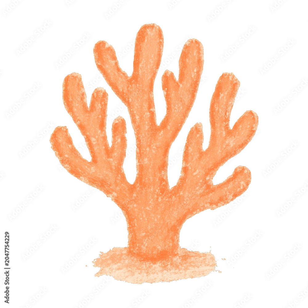 Obraz premium PNG Hand-drawn coral illustration.