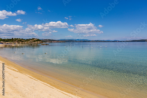 There are many birds that are on the beach by the water, Ammoulliani, Greece