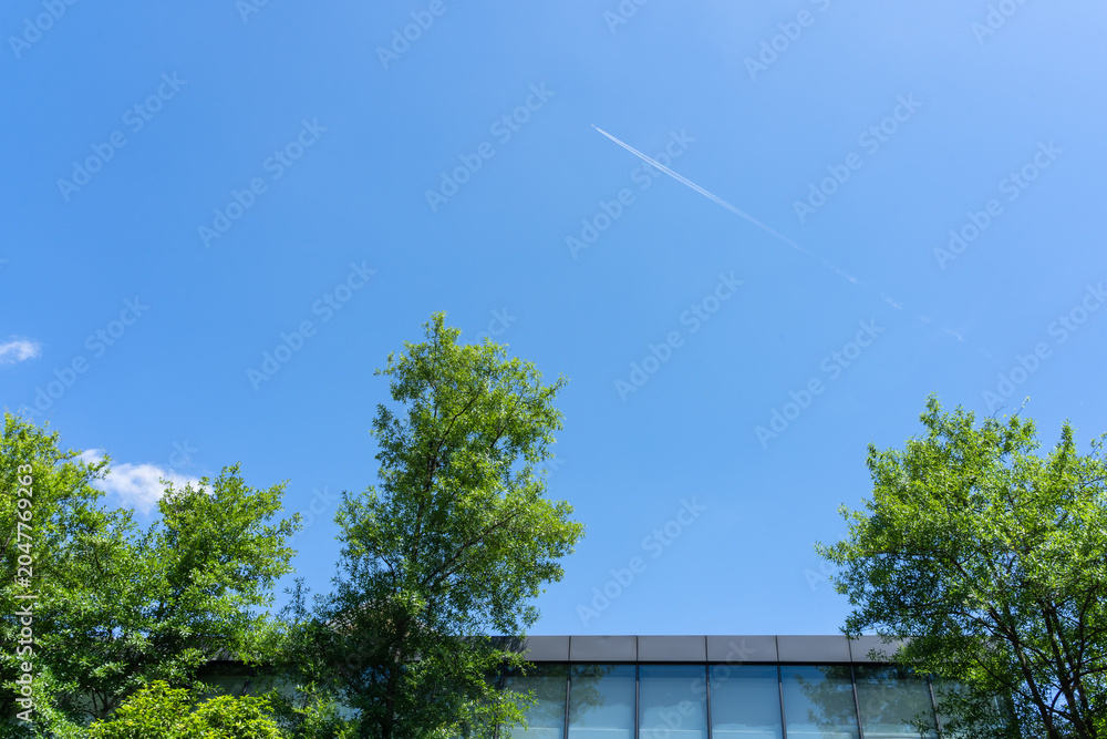 Fototapeta premium Under the blue sky, the greened community park is lush and full of vitality.