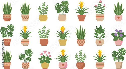 Collection of cute indoor potted plants and monstera delicious house plants set isolated on a white background