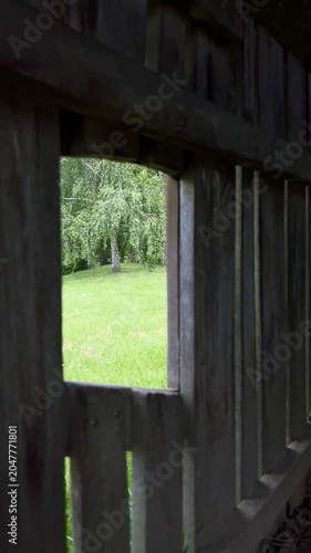 a view over a green forest from an old wooden hut