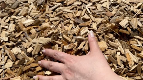 sawdust and wood shavings