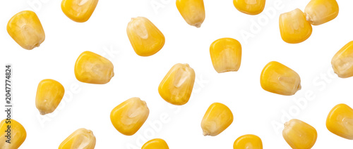 Cuadro en lienzo Isolated kernels of corn scattered randomly on transparent background