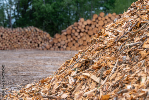 Tableau sur toile Wood chip biomass fuel pile with stacked timber logs at forestry storage site