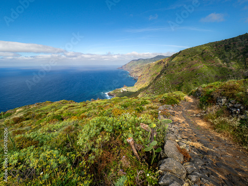 lush coastal cliffs in the Canary Islands