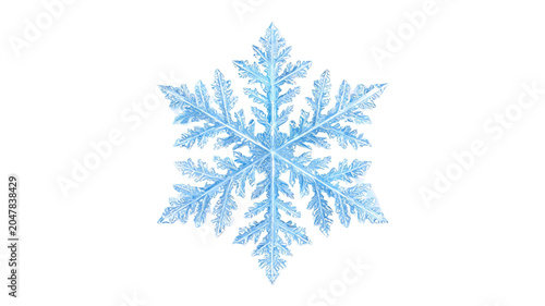 Single detailed blue crystalline snowflake background geometry christmas december delicate illustration structure symmetry isolated as PNG