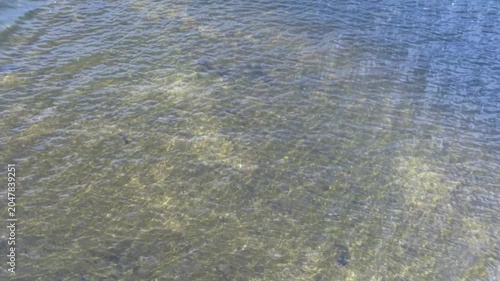 Shallow water sandbar with ripples and sun glare on transparent water, top view