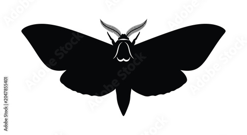 Foto Moth silhouette against a white background silhouette