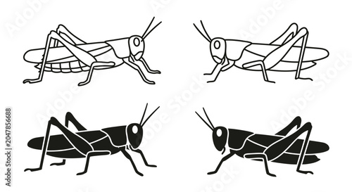 Photos Grasshopper Illustrations Black And White Line Art Set