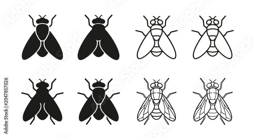 Fly Illustrations Black And White Line Art Designs