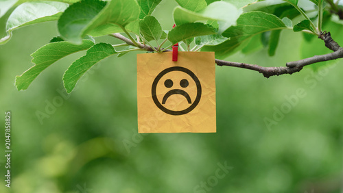 Fotografie A yellow note with the Sad face on it clipped to a green tree branch