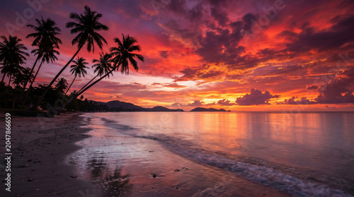 Silhouettes of Palm Trees on Tropical Beach at Sunset