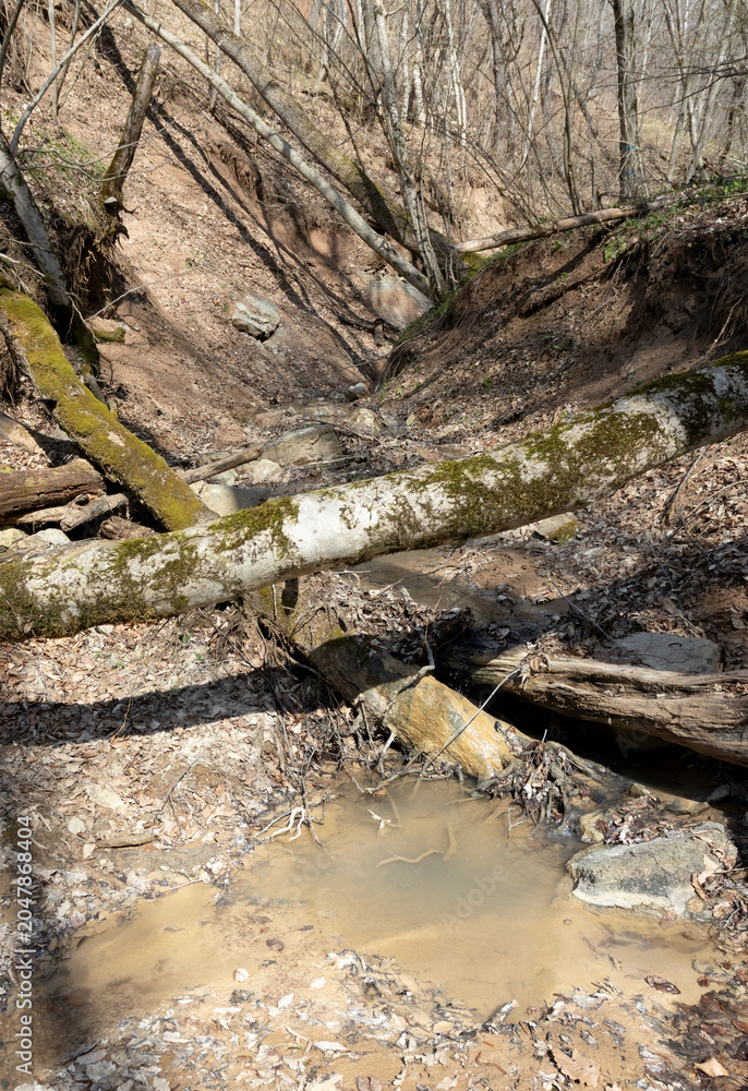 Fototapeta premium a mountain river canyon with an unusual stone bed and rocky banks during the spring season